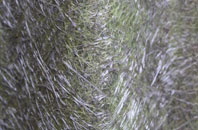 Stubton fibreglass roof work